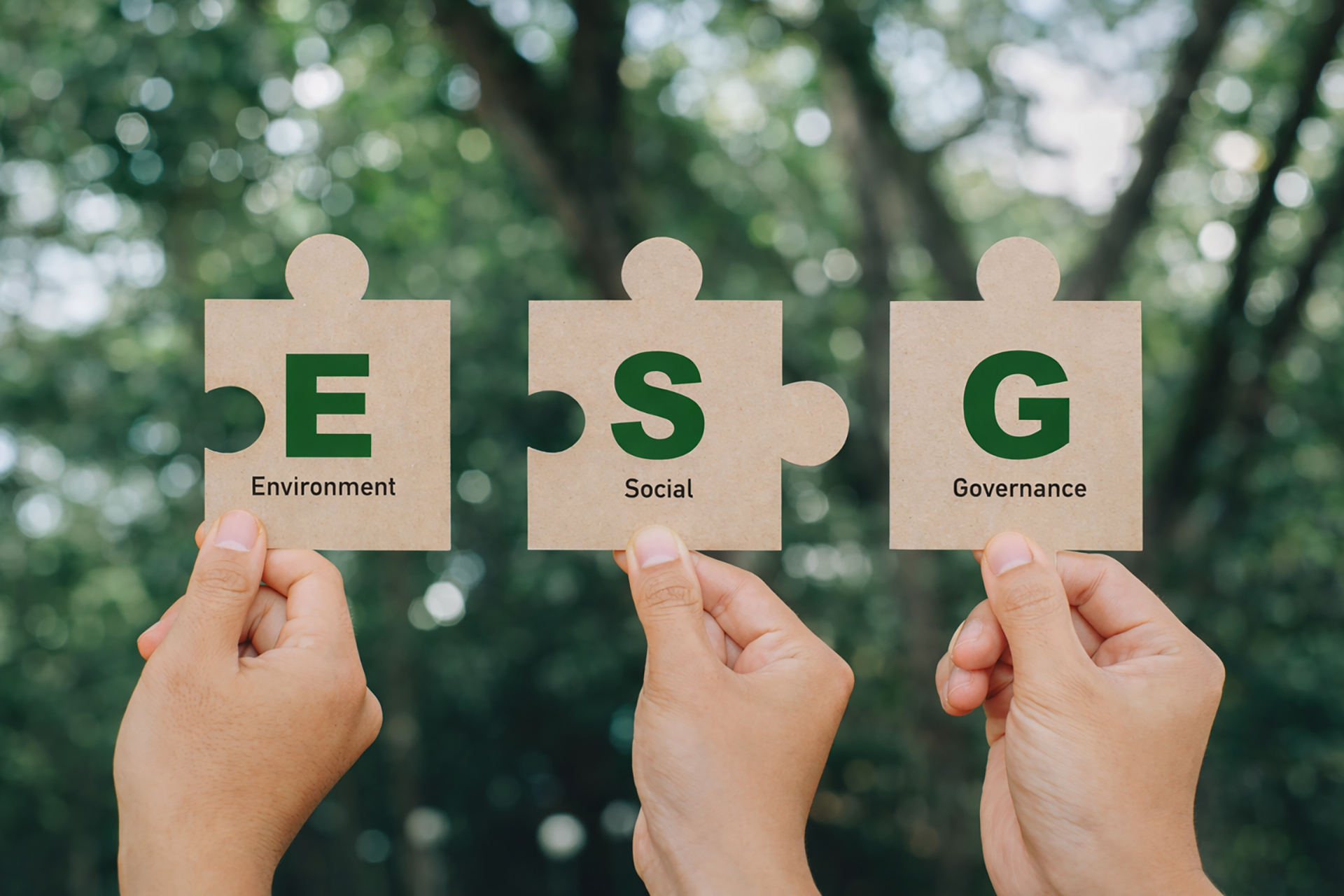 Sustainability Overview