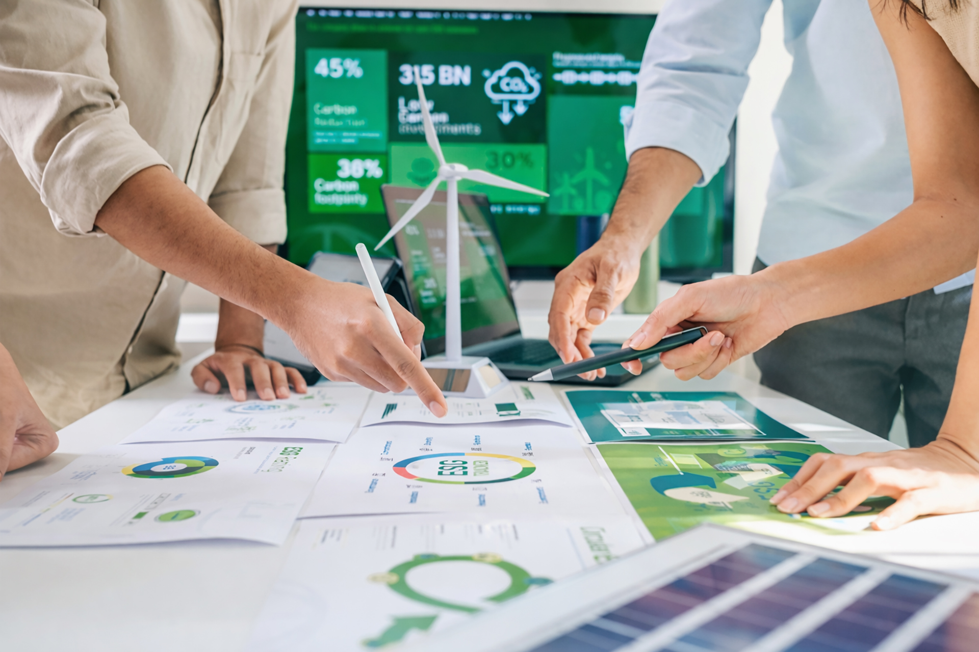 Sustainability Governance Structure